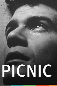 Picnic Trailer