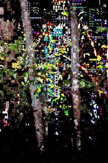 Picture a Forest Trailer