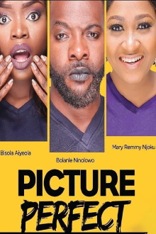 Picture Perfect Trailer