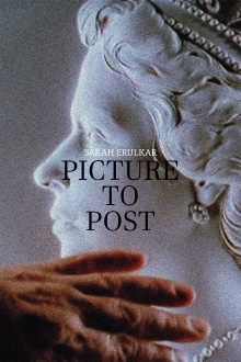 Picture to Post Trailer