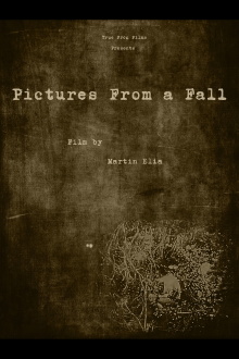 Pictures From a Fall Trailer