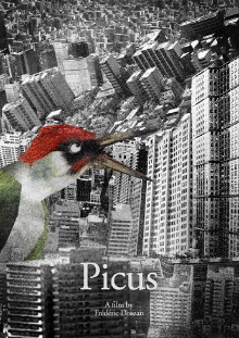 Picus Trailer