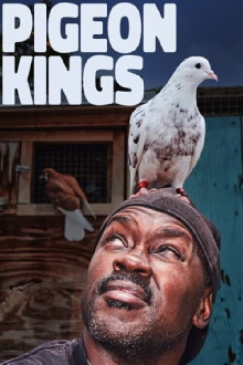 Pigeon Kings Trailer