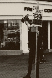 Pigeon Mafia Takes out the Trash Trailer