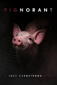 Pignorant Trailer