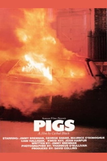 Pigs Trailer