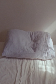 pillow bowl rose tree Trailer
