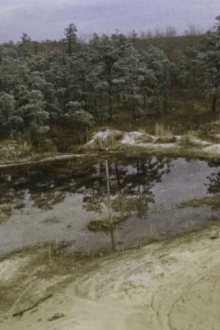 Pine Barrens Trailer