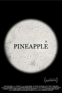 Pineapple Trailer