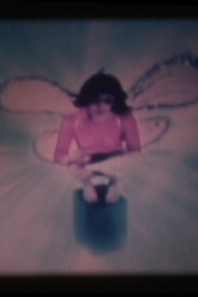 Pink Fairy Trailer