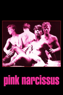 Pink Narcissus Trailer