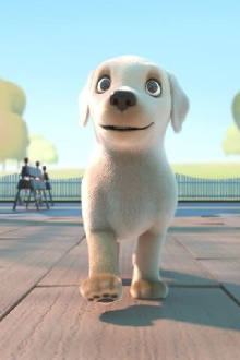 Pip Trailer