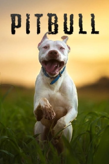 Pitbull Trailer