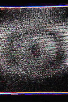 Placid eye Trailer