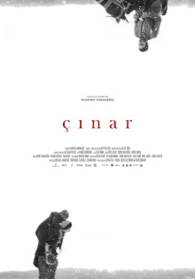 Plane Tree Trailer