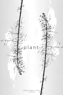 Plant Trailer