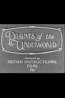 Plants of the Underworld Trailer