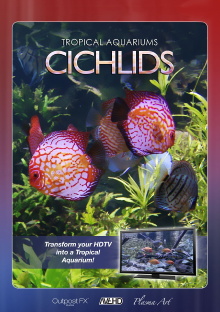 Plasma Art - Tropical Aquariums - Cichlids Trailer