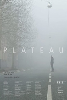 Plateau Trailer