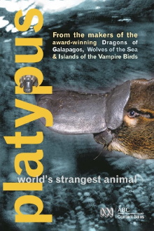 Platypus: World's Strangest Animal Trailer