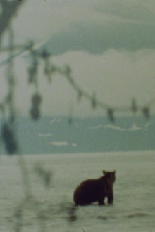 Pleinair-fotos Trailer