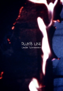 Plumb Line Trailer