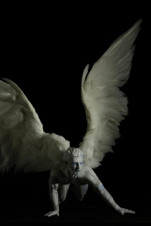 Plume Trailer