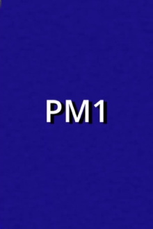 PM1 Trailer