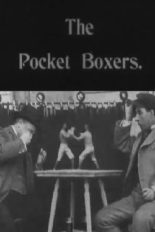 Pocket Boxers Trailer