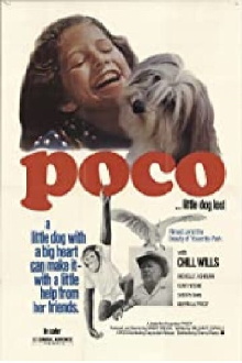 Poco… Little Dog Lost Trailer