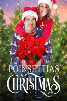 Poinsettias for Christmas Trailer