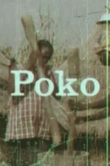 Poko Trailer