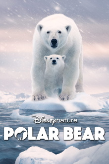 Polar Bear Trailer