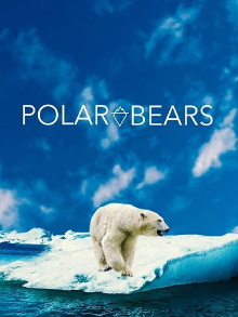 Polar Bears Trailer