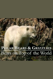 Polar Bears & Grizzlies: Bears on Top of the World Trailer