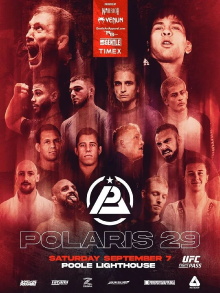 Polaris 29 Trailer