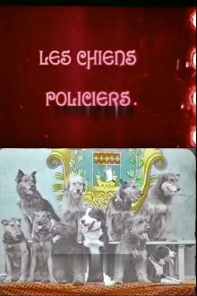 Police Dogs Trailer