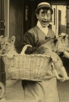 Polidor and the Cat Trailer