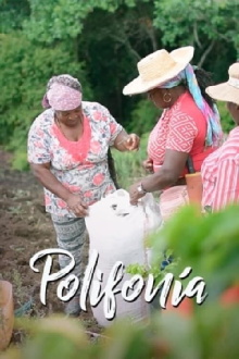Polifonía Afro-femenina: Renacer y Memoria Trailer