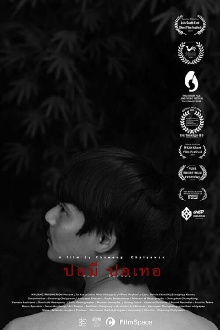 Pomi Pothoe Trailer