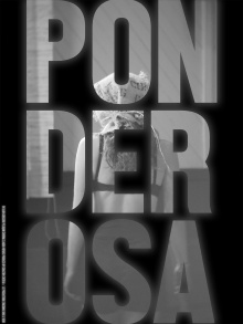 Ponderosa Trailer