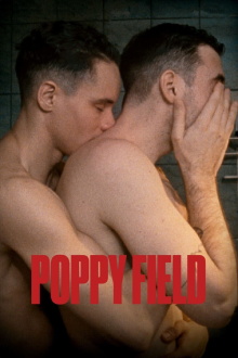 Poppy Field Trailer