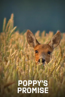 Poppy's Promise: Secret Life in a Cornfield Trailer