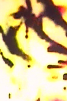 Pornogriffith Trailer