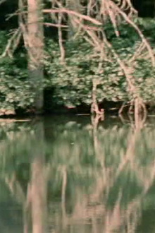 Porter Springs 3 Trailer