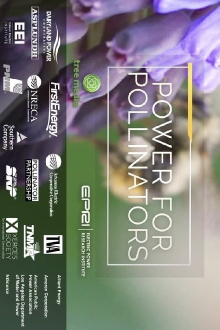 Power for Pollinators Trailer