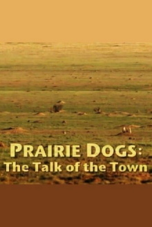 Prairie Dogs: Talk of the Town Trailer