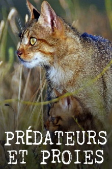 Prédateurs et proies - La faune de la péninsule Ibérique Trailer