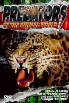 Predators of the Animal World Trailer