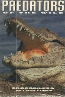 Predators of the Wild: Crocodiles and Alligators Trailer
